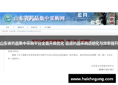 山东省药品集中采购平台全面升级优化 促进药品采购透明化与效率提升