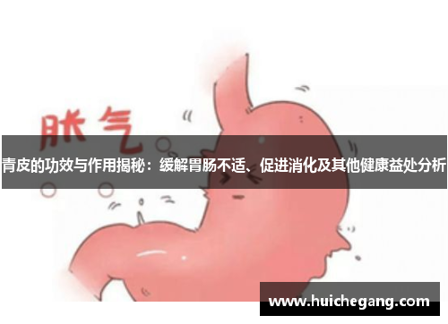 青皮的功效与作用揭秘：缓解胃肠不适、促进消化及其他健康益处分析