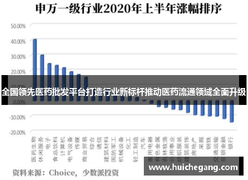 全国领先医药批发平台打造行业新标杆推动医药流通领域全面升级