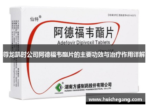 尊龙凯时公司阿德福韦酯片的主要功效与治疗作用详解