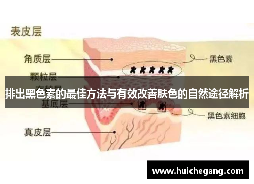 排出黑色素的最佳方法与有效改善肤色的自然途径解析
