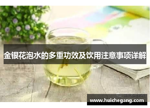 金银花泡水的多重功效及饮用注意事项详解